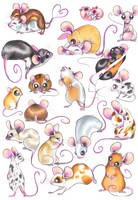 Mouse scetches