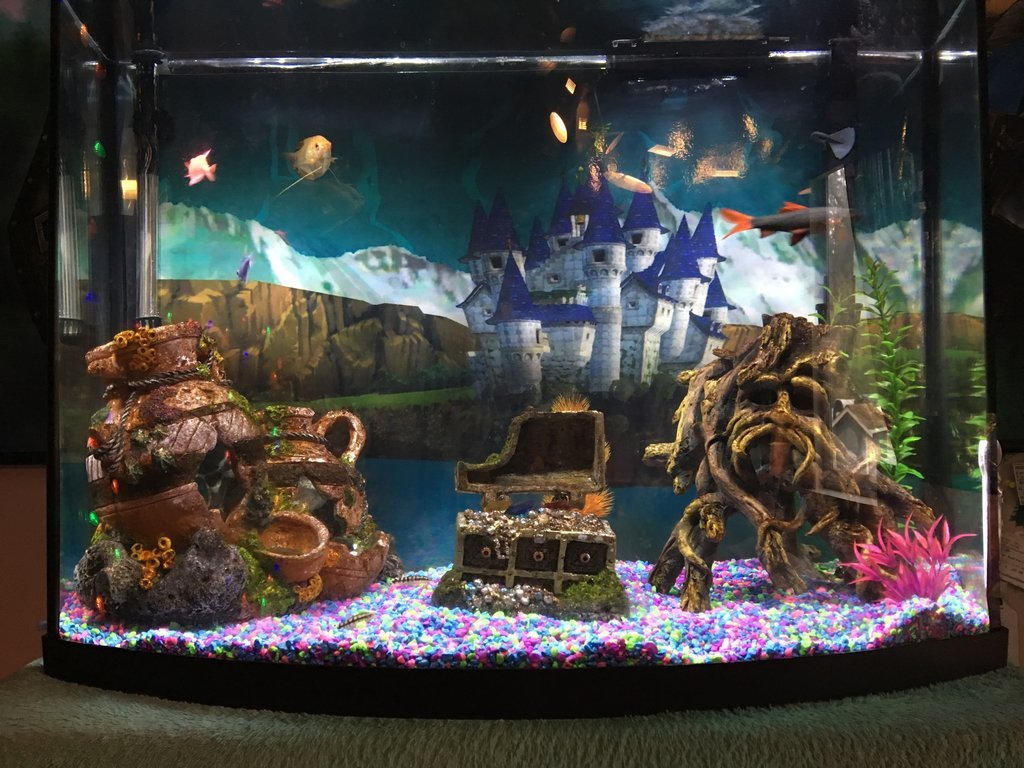 Image result for legend of zelda fish tank