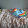 Dashie sleeping on my bed