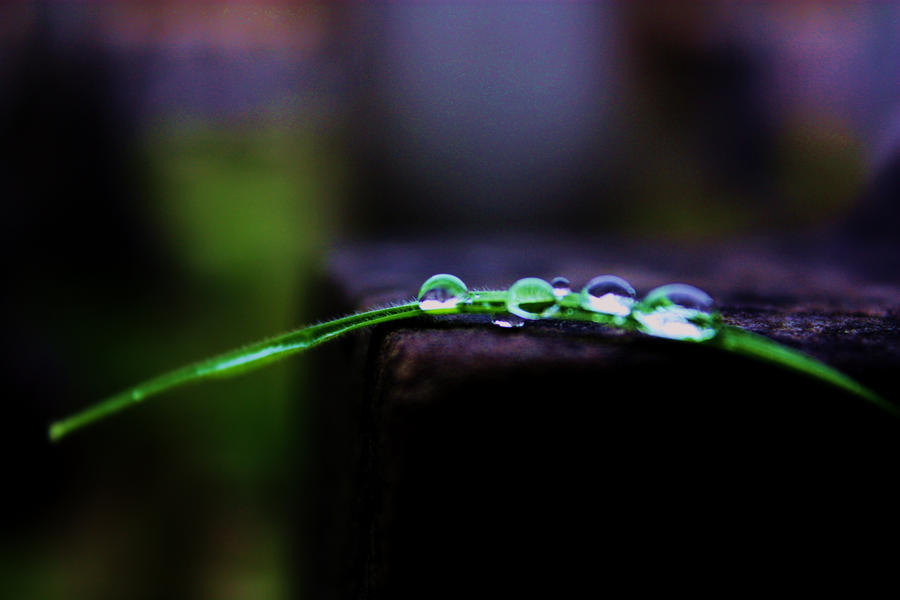 Droplets