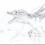 Spinosaurus sketch
