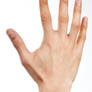 Hand 011