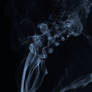 Smoke 018