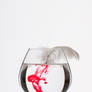 Glass 002