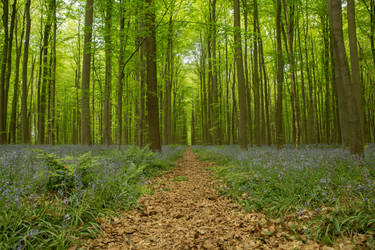 ISOStock User Profile | DeviantArt