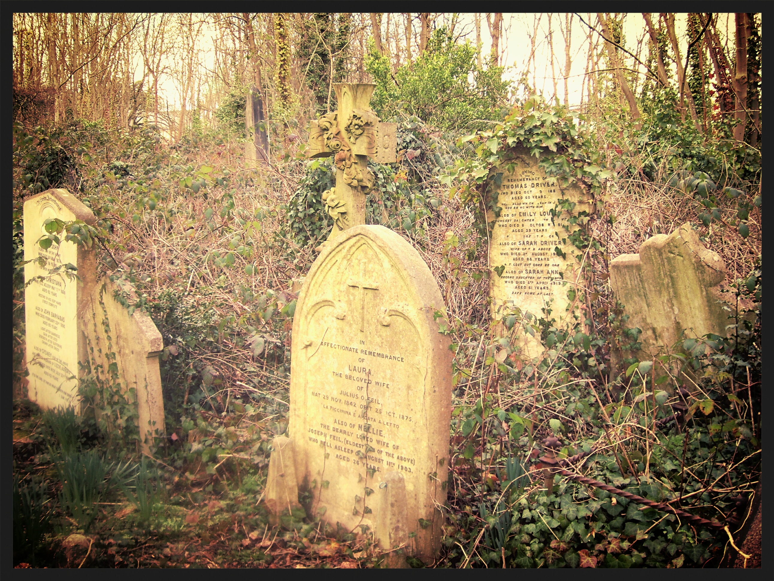 Highgate Cemetery North London 2