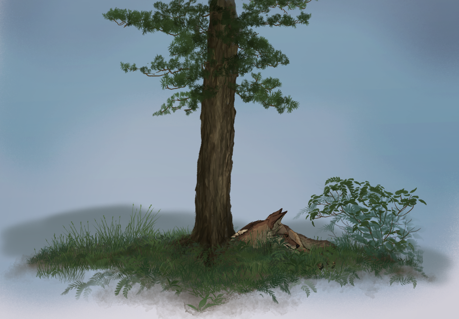 solitude tree