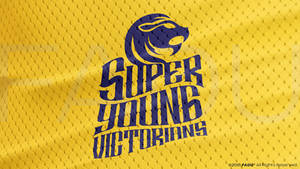 SYV Cricket Team Logo