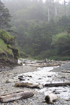 Oregon river