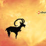 Interpid Ibex Wallpaper 1