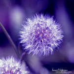 Crystal Wind by manon-lightcrafts
