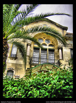 The Enchanted Balcony