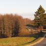 The Long and Winding Road