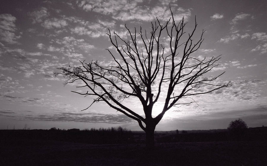 The Old Loner II by Helkathon