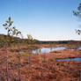 Marshlands