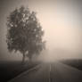 To Silent Hill