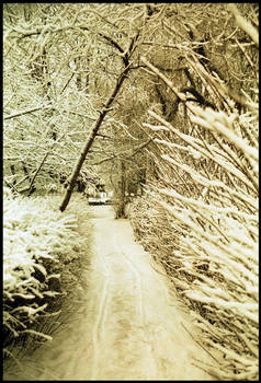 Winterpath III