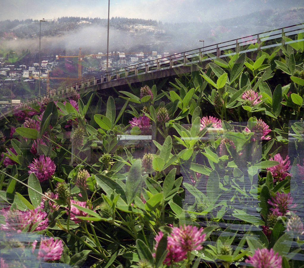 FilmSwap: Norwegian Bridge Meets Lithuanian Clover by Helkathon
