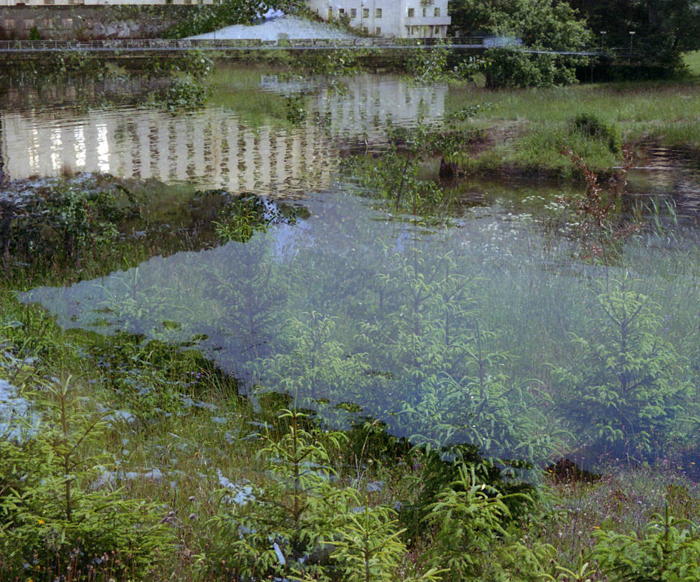 FilmSwap: Sunken Forest by Helkathon
