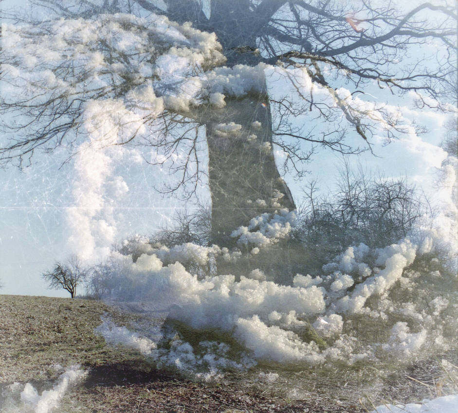 FilmSwap: My Tree in the Clouds by Helkathon