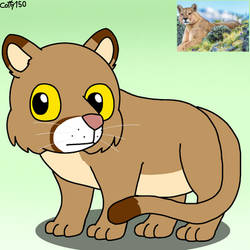 Puma (Puma concolor)