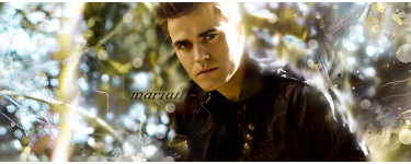 Stefan Salvatore 2