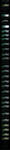 Aston Martin DBR9 Tutorial by Brisk06