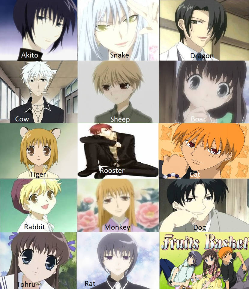 Fruits Basket Zodiac Mix by PhoenixFury17 on DeviantArt