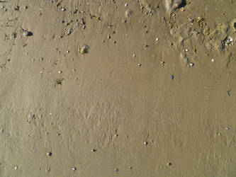 Fine Sand Texture