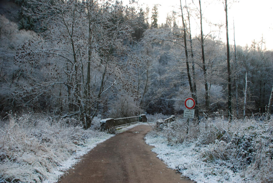 Snowy Path Stock