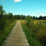 Wooden Path Stock 1