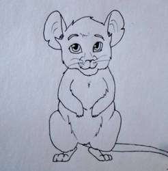 Harold the Mouse