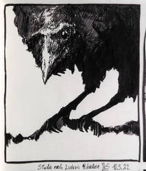 Crow study after Ludovic Ribardiere