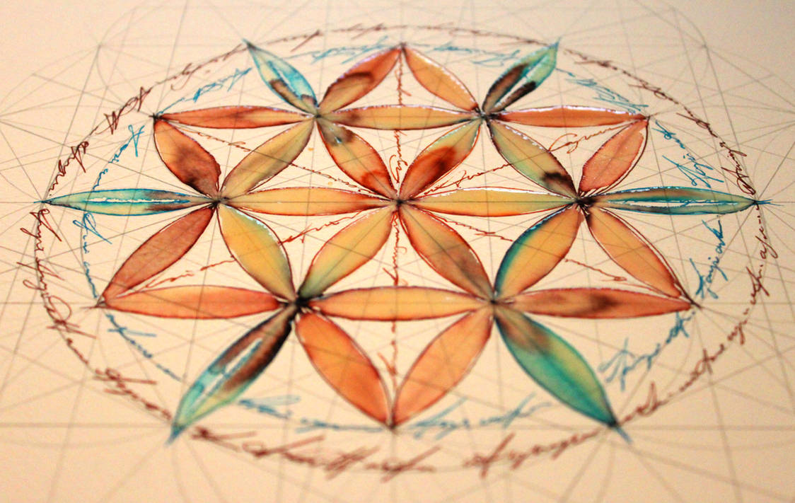 Flower of life - study 1 by Carnegriff