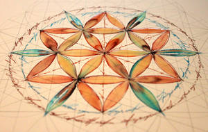 Flower of life - study 1