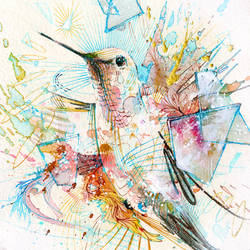 1000bpm - Hummingbird Print