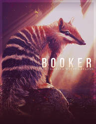 Booker