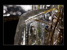 Ice and Grass