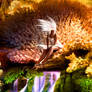 Halcyon