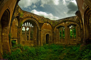 Enchanted ceiling