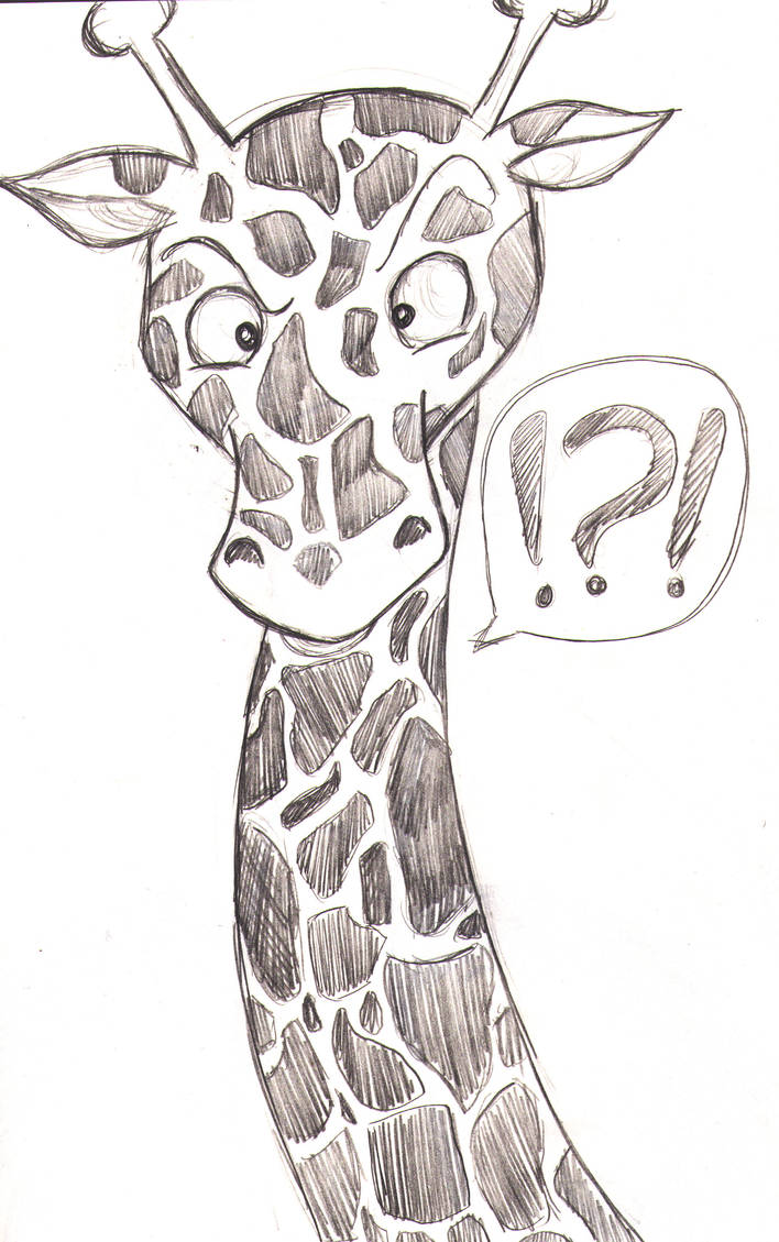 WTF Giraffe