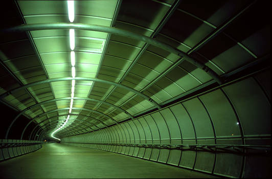 Empty Green Tunnel