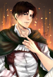 Levi Ackerman 