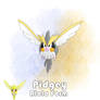 #201-Alola pidgey