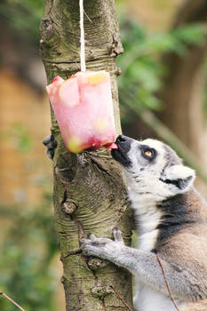 Ice lolly love.