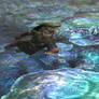 link swimming