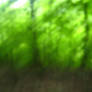 Forrest Blur