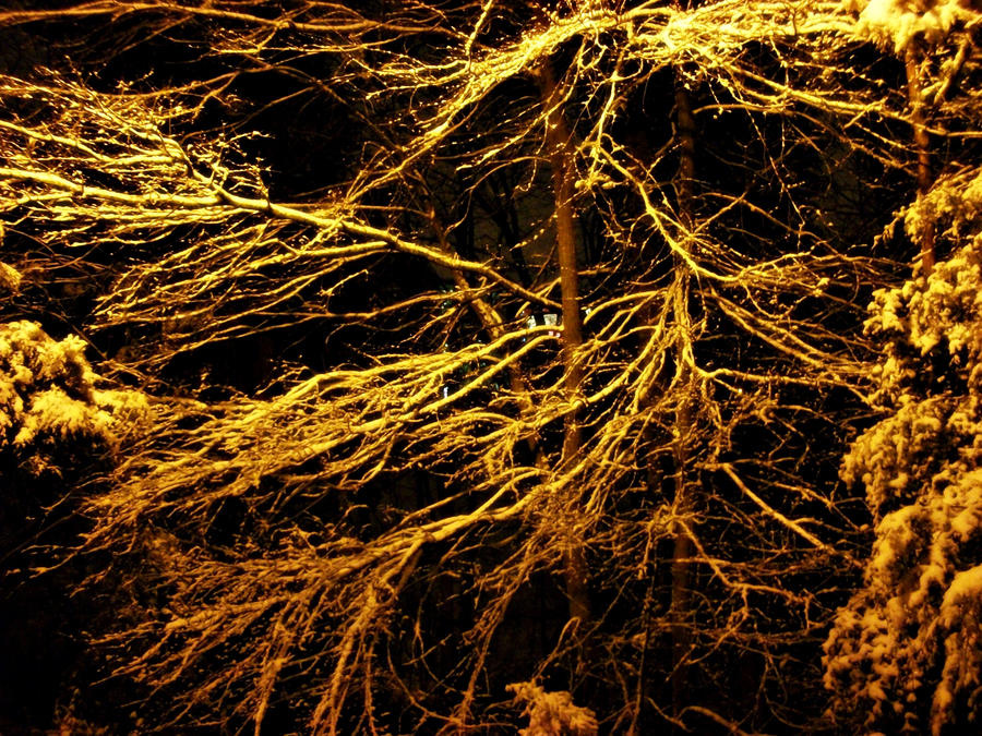Flow Tree by kingnii on DeviantArt