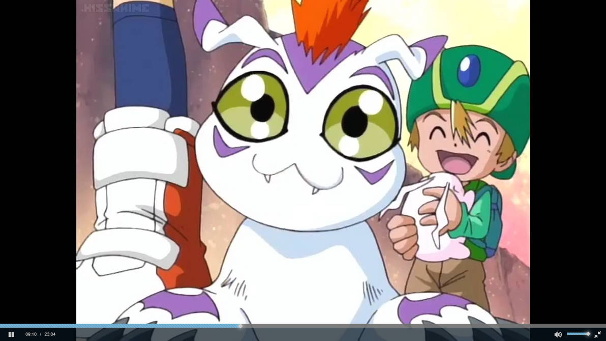 Gomamon by Tatsunokoisthebest on DeviantArt