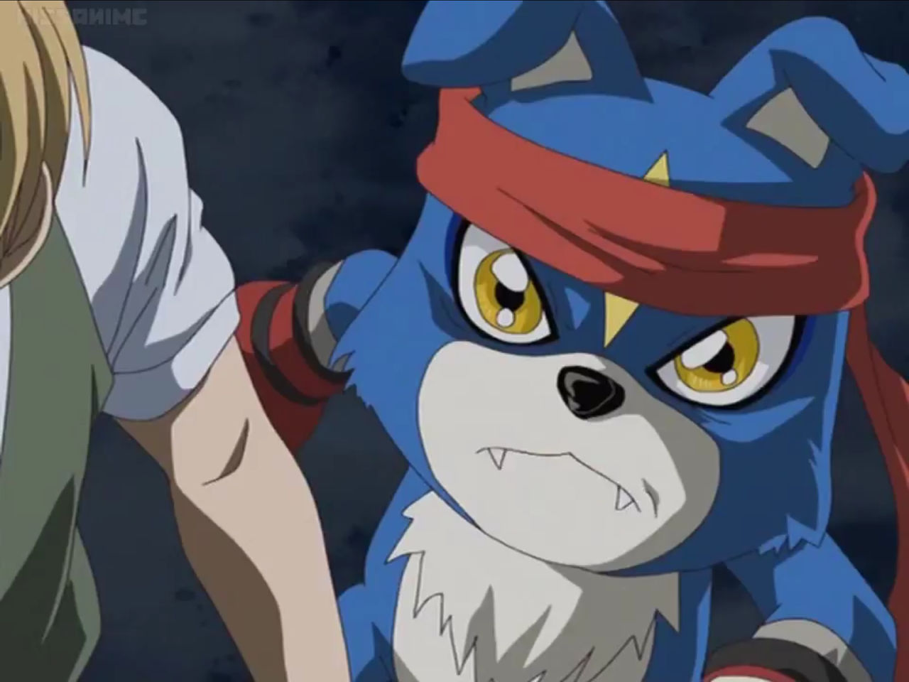 Gaomon by Tatsunokoisthebest on DeviantArt